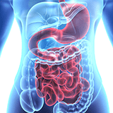 Imagen ilustrativa Trastornos gastrointestinales