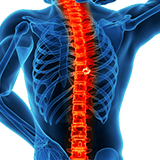 Imagen ilustrativa de Tumores de la columna vertebral 