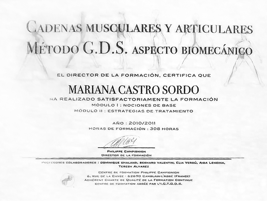 Certificado Especialista En Fisioterapista De Ciudad De Mexico